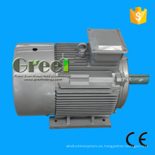 12KW 250 rpm 400V mantenimiento generador de imán permanente con BV